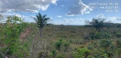 Foto 8 de 8: Area Rural em leilão em Tuntum - MA — IMÓVEIS RURAIS PECUÁRIA | A.T. 66,69 HA | TUNTUM/MA