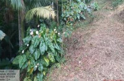 Foto 17 de 17: Terreno em leilão em Rio Do Sul - SC — TERRENO URBANO COM ÁREA TOTAL DE 11.195,980 m² EM RIO DO SUL-SC