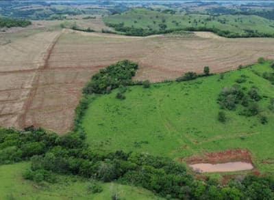 Foto 2 de 8: Area Rural em leilão em Nova Cantu - PR — IMÓVEL RURAL COM ÁREA TOTAL DE 16.96ha- Em NOVA CANTU/PR