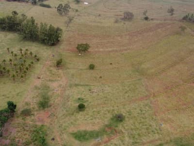 Foto 5 de 5: Area Rural em leilão em Pérola - PR — IMÓVEL RURAL COM ÁREA DE 43500 m2 EM PÉROLA-PR