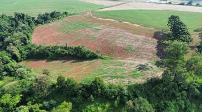 Foto 1 de 10: Area Rural em leilão em Nova Prata Do Iguaçu - PR — IMÓVEL RURAL COM ÁREA TOTAL DE 20.000,00 M2 EM NOVA PRATA DO IGUAÇU-PR