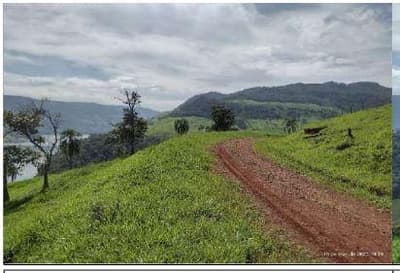 Foto 3 de 8: Area Rural em leilão em Coronel Domingos Soares - PR — Terreno Rural com área de 16,108 hectares, as margens do Rio Iguaçu, Gleba III, do Quinhão IV e Quinhões 6 e 6-A, da Fazenda Cacumbangue, município de Coronel Domingo Soares/PR.