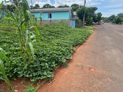 Foto 8 de 8: Terreno em leilão em Nova Prata Do Iguaçu - PR — LOTE URBANO - Salto do Lontra/PR
