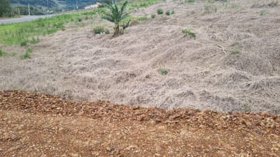 Foto 2 de 5: Terreno em leilão em Saudades - SC — LOTE URBANO Nº 03, DA QUADRA Nº 122, LOCALIZADO EM SAUDADES/SC ÁREA DE 360M²
