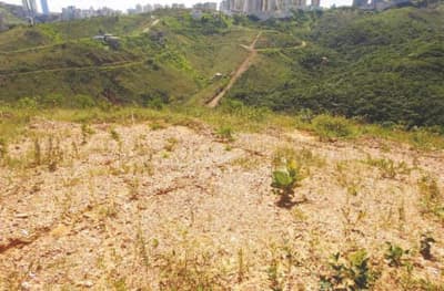 Terreno em leilão em Nova Lima - MG — Lote, Ocupado, NOVA LIMA / MG