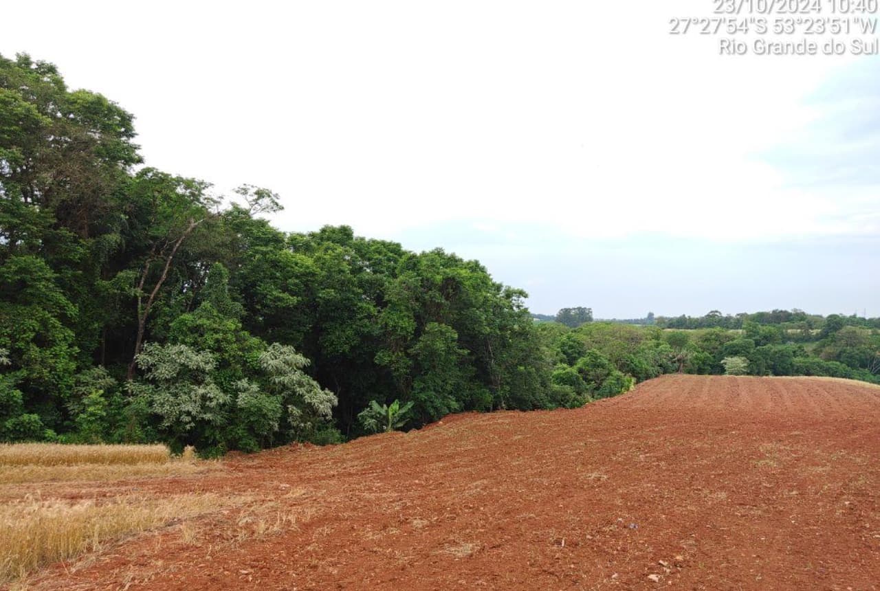 Foto 9 de 9: Area Rural em leilão em Seberi - RS — IMÓVEL RURAL COM ÁREA TOTAL DE 50.000,00M² - SEBERI/RS