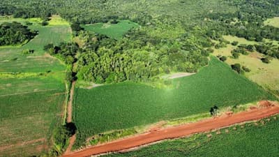 Foto 8 de 8: Area Rural em leilão em Santo Antônio Da Barra - GO — IMÓVEL RURAL | A.T. 84,72,08HA FAZ. BARRA (CULTURA DE GRÃOS) | SANTO ANTÔNIO DA BARRA/GO