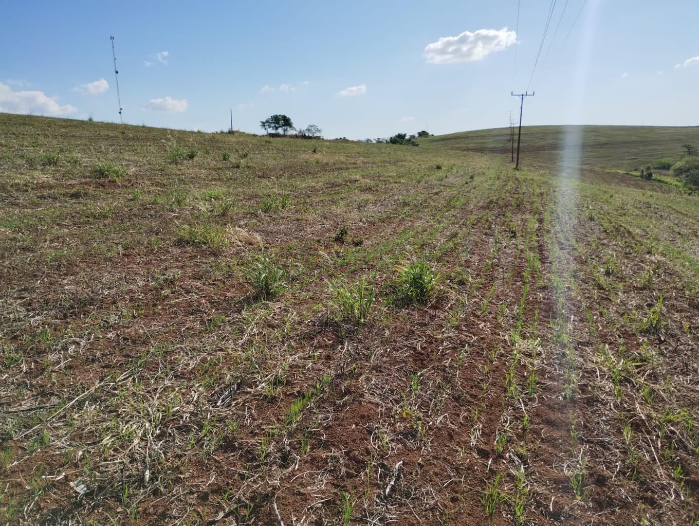 Foto 2 de 24: Area Rural em leilão em São Jerônimo Da Serra - PR — Área rural com área de 35,53 hectares - São Jerônimo da Serra/PR.
