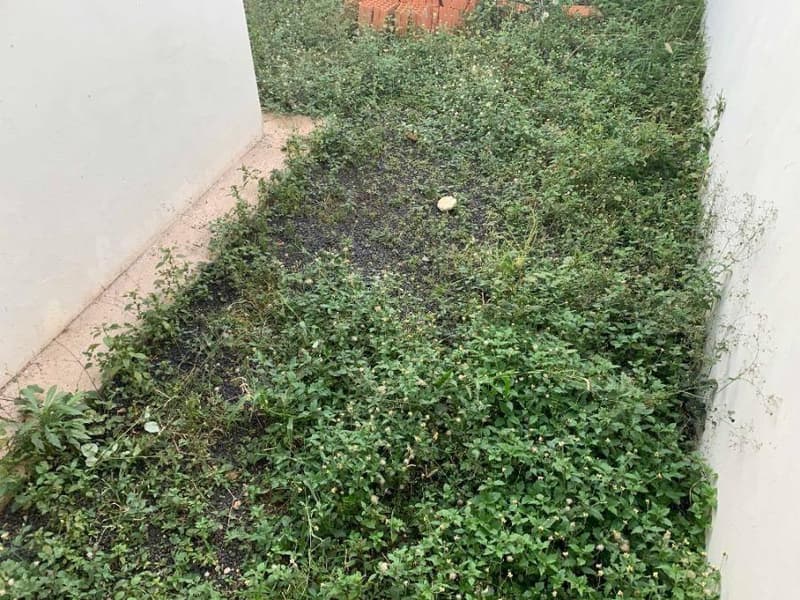 Foto 23 de 25: Casa em leilão em Uberlândia - MG, bairro Jardim Canaã I — Casa, Uberlândia / MG