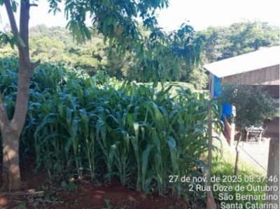 Foto 7 de 7: Imóvel em leilão em São Bernardino - SC, bairro Vila Scheid — IMÓVEL URBANO COM ÁREA DE 1.000,00 M2 EM SÃO BERNARDINO-SC
