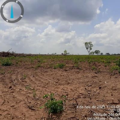 Foto 8 de 17: Area Rural em leilão em Paranã - TO — IMÓVEL RURAL | 1.522,3316 HA | FAZENDA LARGA OU LARGA DO ZÉ JANUÁRIO | PARANÃ/TO.