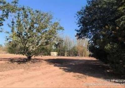Foto 40 de 58: Area Rural em leilão em Rondonópolis - MT — GLEBA COMERCIAL ÀS MARGENS DA BR-163 RONDONÓPOLIS/MT - VENDA CONJUNTA DE DUAS MATRÍCULAS