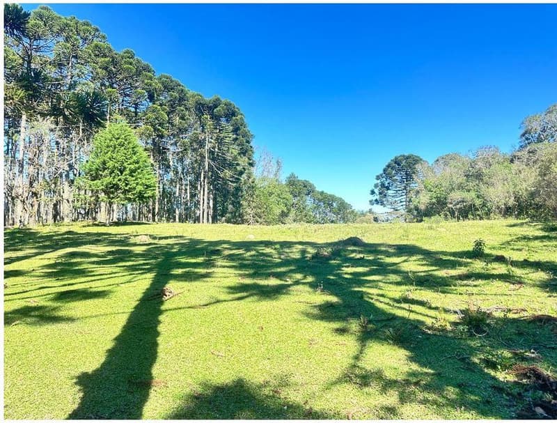 Foto 5 de 35: Area Rural em leilão em São José Dos Pinhais - PR — Sitio com área total de 120.974,16m², localizado Borda do Campo em São José dos Pinhais/PR