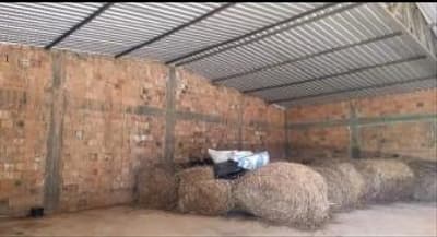 Foto 6 de 10: Area Rural em leilão em Barreiras - BA — IMÓVEL RURAL COM 12,57HA EM BARREIRAS - BA