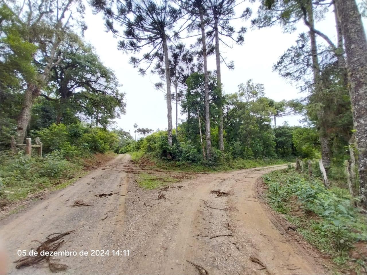 Foto 10 de 17: Terreno em leilão em Lapa - PR — Terreno rural, com área de 36.300,00m², Lapa/PR