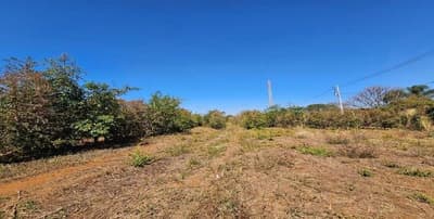 Foto 4 de 6: Area Rural em leilão em Serra Do Salitre - MG — Imóvel Rural 05,99,39 ha na Fazenda Santa Maria, Serra do Salitre/MG