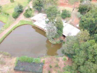 Foto 3 de 18: Area Rural em leilão em Francisco Beltrão - PR — FRAÇÃO IDEAL referente ao LOTE RURAL n° 98, da Gleba 03-FB de Francisco Beltrão/PR