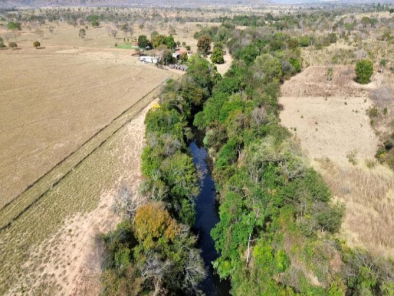 Foto 20 de 20: Area Rural em leilão em Buritis - MG — Fazenda, 90.36 ha, Buritis / MG