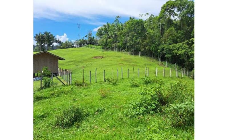 Foto 27 de 27: Terreno em leilão em Blumenau - SC — Imóvel urbano com área total de 35.820,27 m² em Blumenau/SC
