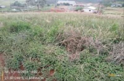 Foto 4 de 6: Area Rural em leilão em Miraguaí - RS — IMÓVEL RURAL COM ÁREA TOTAL DE 338.00m² - MIRAGUAÍ/RS