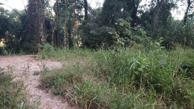 Foto 3 de 5: Terreno em leilão em Campo Limpo Paulista - SP, bairro Jardim Paulista I — Terreno em Campo Limpo Paulista, Lote nº 06 da Quadra 04, área de 734,25m², Lot. Jardim Paulista I