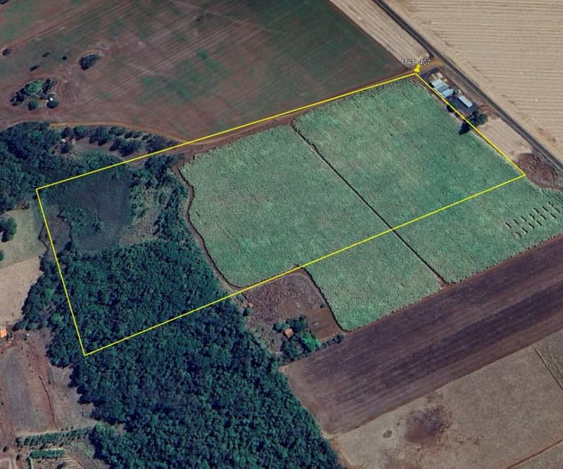 Foto 2 de 8: Area Rural em leilão em Vicentinópolis - GO — Lote Agrícola 317ha em Vicentinópolis/GO | Vizinho à Usina Caçu | Topografia Plana e Beira do Asfalto
