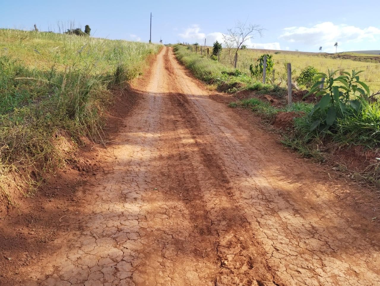 Foto 5 de 24: Area Rural em leilão em São Jerônimo Da Serra - PR — Área rural com área de 35,53 hectares - São Jerônimo da Serra/PR.