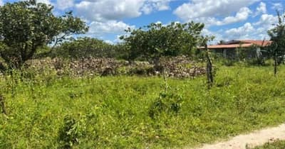 Foto 3 de 5: Terreno em leilão em Pacajus - CE, bairro Eldorado de Pacajus — Terreno 6.600m², Eldorado de Pacajus, Pacajus/CE