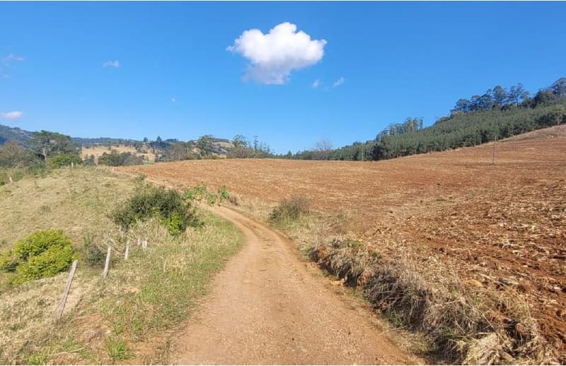 Foto 8 de 8: Area Rural em leilão em Anchieta - SC — Lote Rural 72.600m² Desocupado em Anchieta/SC