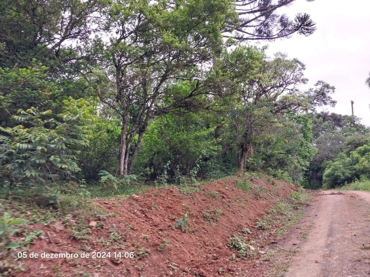 Foto 7 de 17: Terreno em leilão em Lapa - PR — Terreno rural, com área de 36.300,00m², Lapa/PR