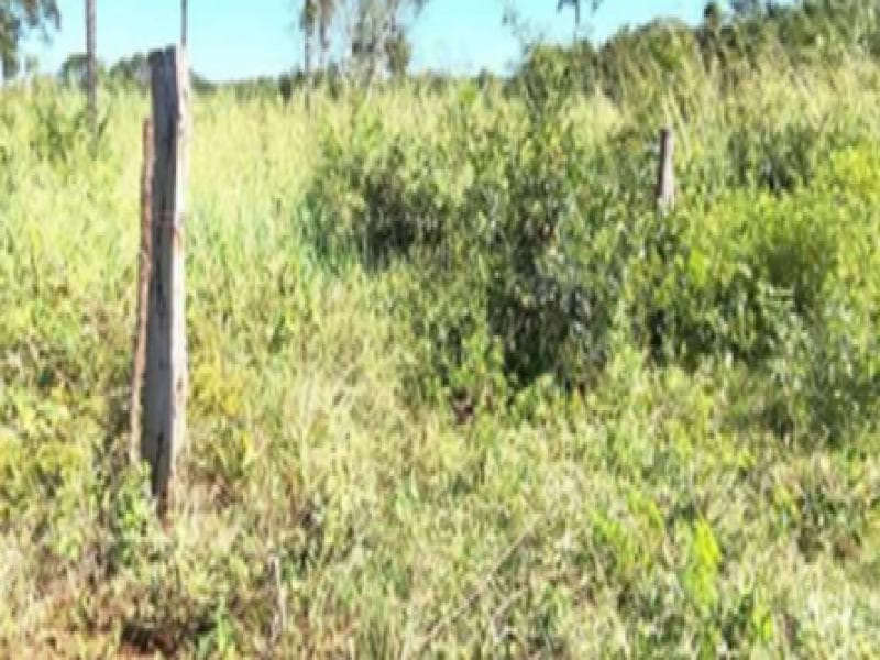 Foto 3 de 3: Area Rural em leilão em Estreito - MA — Area, 14.52 ha, Estreito / MA
