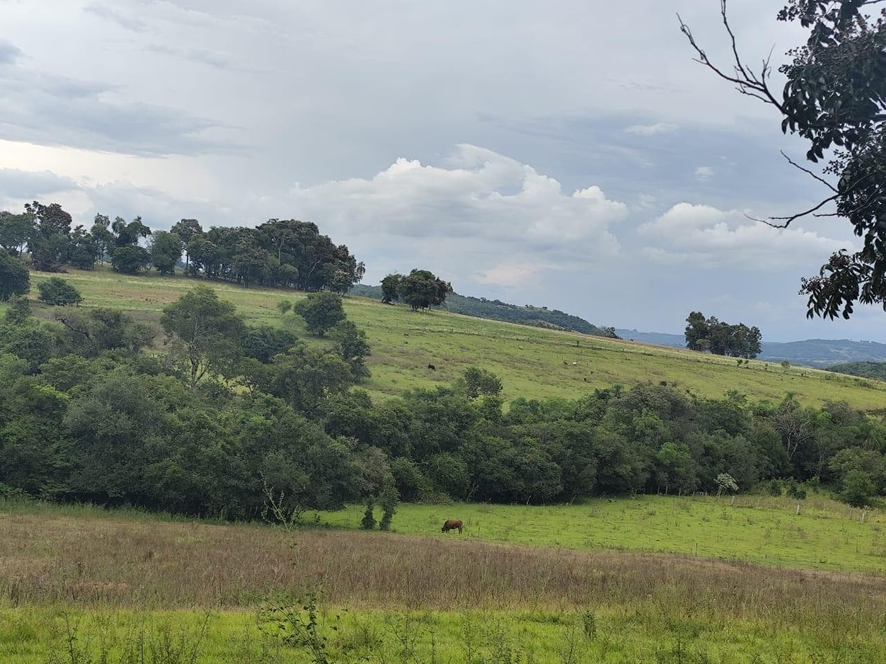 Foto 4 de 5: Area Rural em leilão em São Pedro Do Sul - RS, bairro Interior — IMÓVEL RURAL COM ÁREA TOTAL DE 70.000 M2 EM SÃO PEDRO DO SUL-RS
