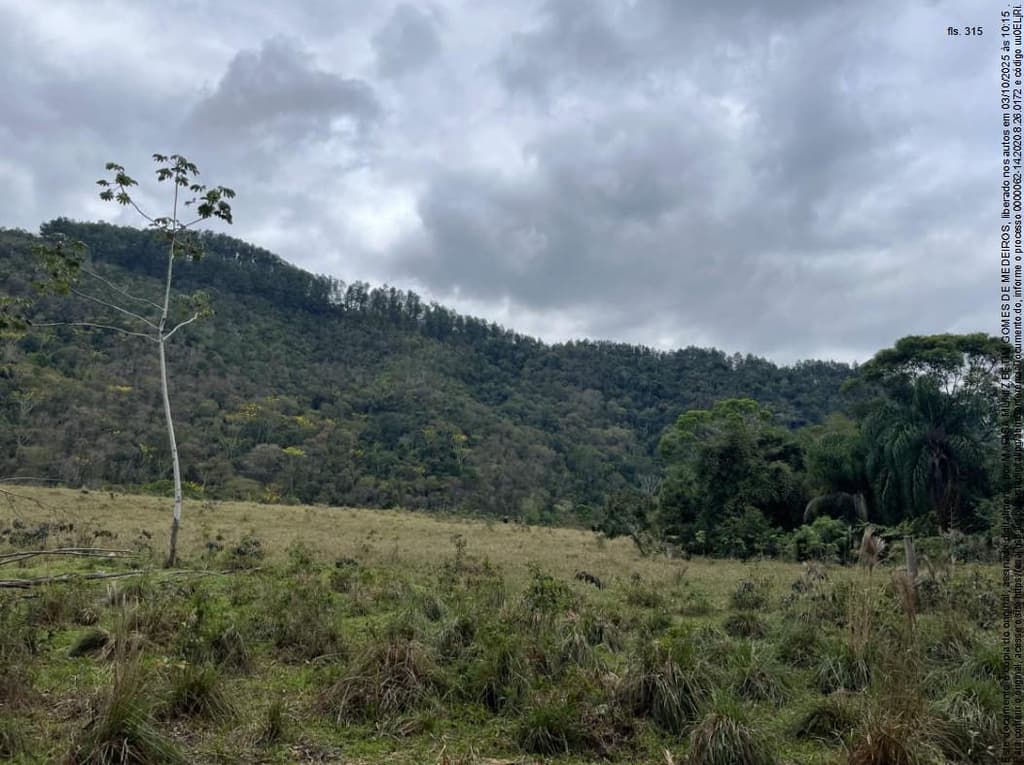Foto 6 de 13: Area Rural em leilão em Iporanga - SP, bairro Descalvado — Imóvel Rural 109ha em Iporanga/SP