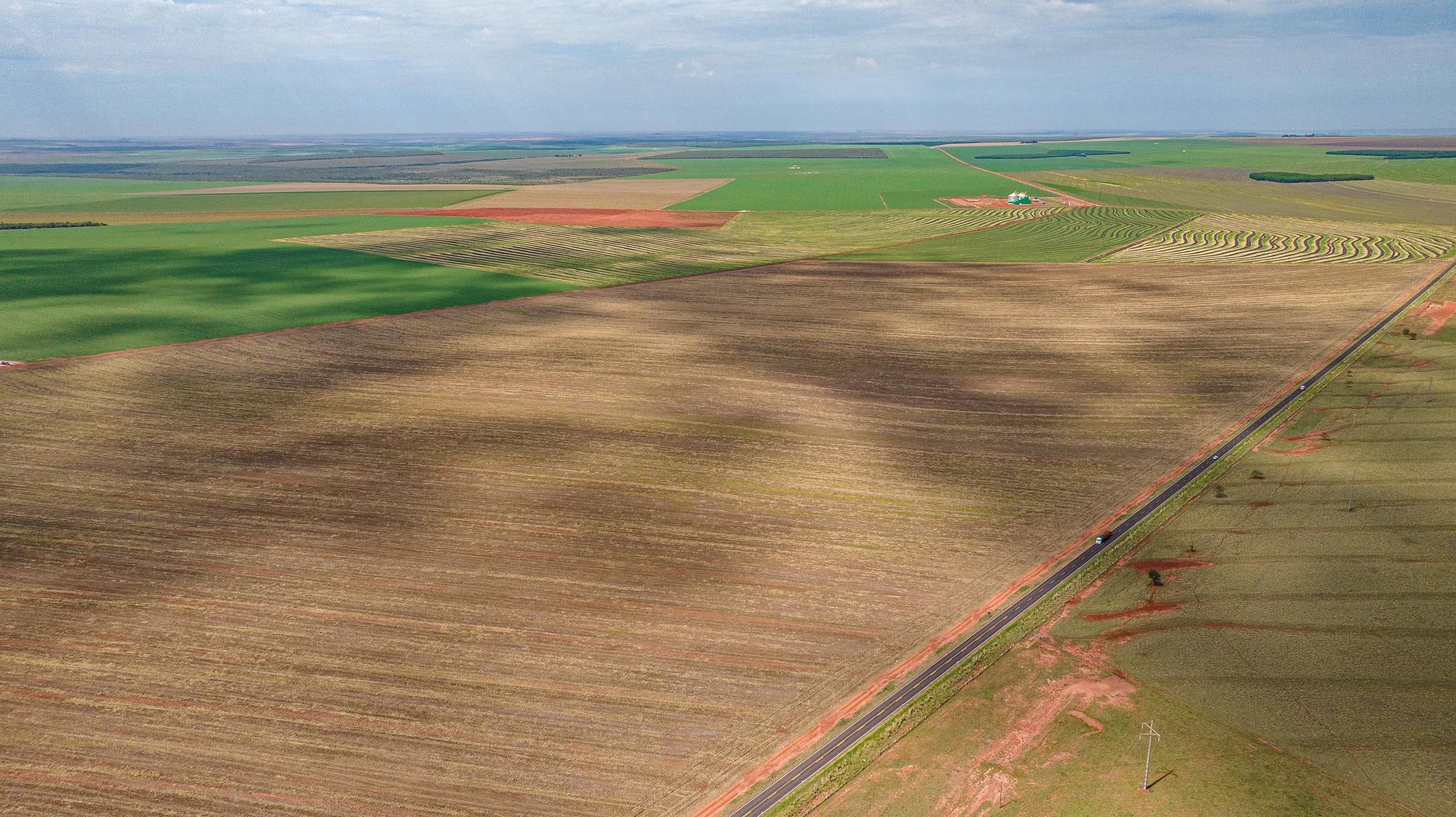 Foto 4 de 30: Area Rural em leilão em Paraíso Das Águas - MS — IMÓVEL RURAL | 400 HA (FRAÇÃO IDEAL) - FAZ. LOTE BAÚS PERDIDO I SECÇÃO B | PLANTIO PARA SOJA E MILHO | PARAÍSO DAS ÁGUAS/MS