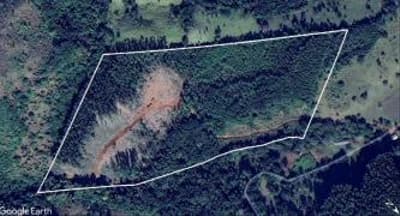 Foto 11 de 11: Area Rural em leilão em Quedas Do Iguaçu - PR, bairro Jardim Alegre — IMÓVEL RURAL COM ÁREA TOTAL DE 11,0255 hectares, EM QUEDAS DO IGUAÇU-PR