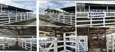 Foto 1 de 4: Area Rural em leilão em Careiro Da Várzea - AM — IMÓVEL RURAL | 81,00 HA - FAZ. CRUZEIRO | CAREIRO DA VÁRZEA