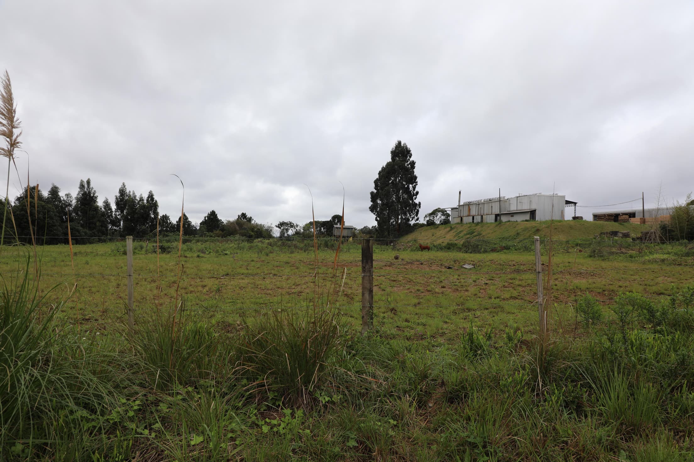 Foto 5 de 17: Terreno em leilão em Curitibanos - SC — IMÓVEL LOCALIZADO NA RUA ROMUALDO SCUR, ÁREA INDUSTRIAL RENATO FARIAS, MUNICÍPIO DE CURITIBANOS-SC COM A ÁREA DE 10.043,92M²
