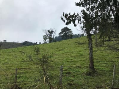 Foto 2 de 4: Area Rural em leilão em Nova Laranjeiras - PR — IMÓVEL RURAL COM ÁREA DE 242.000 m2- NOVA LARANJEIRAS/PR