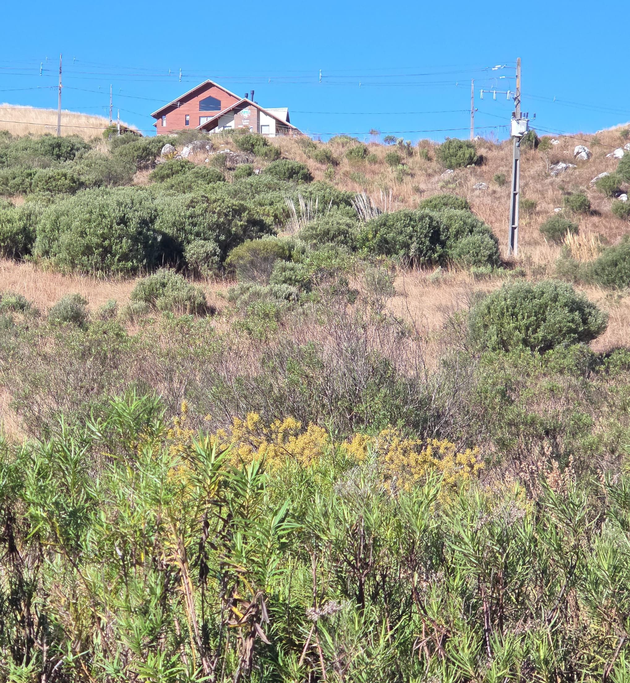 Foto 5 de 6: Terreno em leilão em Bom Jardim Da Serra - SC — LOTE URBANO Nº 27 DA QUADRA Nº 07 LOCALIZADO NO CONDOMÍNIO ALTOS DA SERRA EM BOM JARDIM DA SERRA/SC - ÁREA PRIVATIVA DE 1.860,40M²