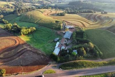 Foto 12 de 20: Area Rural em leilão em Campo Bonito - PR, bairro Zona Rural — IMÓVEL RURAL COM ÁREA TOTAL DE 19.73 ha- Em CAMPO BONITO/PR