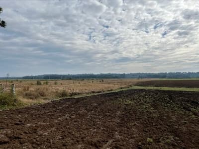 Area Rural em leilão em São Mateus Do Sul - PR — Terreno rural, com a área de 49.283,30 m², São Mateus do Sul/PR