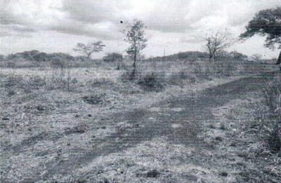 Foto 2 de 2: Area Rural em leilão em Monte Santo Do Tocantins - TO — Fazenda, A.T. 965,8670 ha