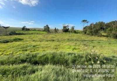Foto 19 de 24: Area Rural em leilão em Manoel Ribas - PR, bairro Bairro dos Gallos — IMÓVEL RURAL COM ÁREA TOTAL DE 78.163,60 m2- Em MANOEL RIBAS/PR