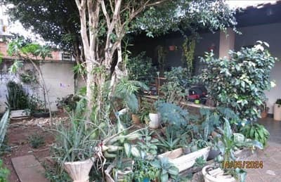 Foto 2 de 23: Casa em leilão em São Carlos - SP — Casa, A.T. 300m², A.C. 189m², 2 dorms, 1 suíte, Pq. Santa Felícia Jardim (Direitos)