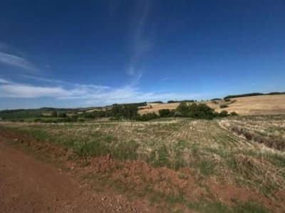 Foto 3 de 4: Area Rural em leilão em São José Das Missões - RS — IMÓVEL RURAL COM ÁREA DE 37.500,00m2. EM SÃO JOSÉ DAS MISSÕES-RS