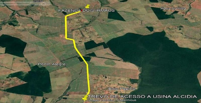Foto 2 de 5: Area Rural em leilão em Teodoro Sampaio - SP — Área de terras com 196,4662 hectares, perímetro de 8.002,01m, sem benfeitorias.
