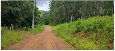 Foto 7 de 8: Area Rural em leilão em Francisco Beltrão - PR — Terreno rural com área de 30.000,00m², Localizado na Linha Água Vermelha, Zona Rural do Município de Francisco Beltrão-PR. Sem benfeitorias.