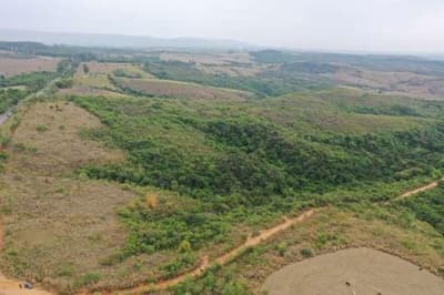 Foto 4 de 5: Area Rural em leilão em Formiga - MG — FAZENDA "BOA VISTA" EM FORMIGA/MG.