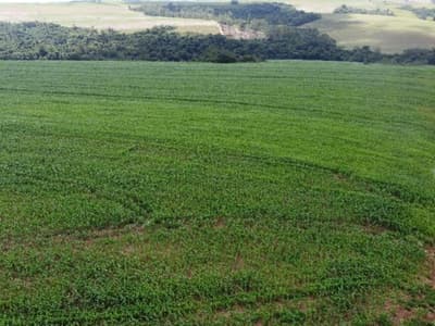 Foto 5 de 6: Area Rural em leilão em Peabiru - PR — IMÓVEL RURAL COM ÁREA DE 242.000 m2- Em PEABIRU/PR