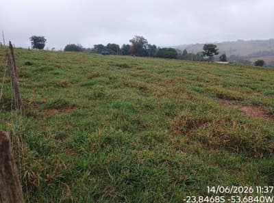 Foto 6 de 6: Area Rural em leilão em Pérola - PR — IMÓVEL RURAL COM ÁREA TOTAL DE 84.700 m2- Em PÉROLA/PR